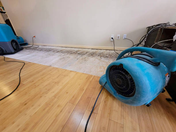 Professional Burst Pipe Water Damage technician working in Greenwood, ME